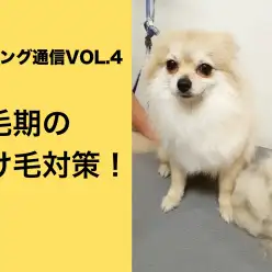 【お役立て情報】換毛期の抜け毛対策！：白楽店発トリミング通信Vol.4