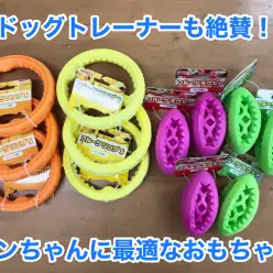 【ワンちゃんおもちゃ紹介】すでに爆売れ！ドッグトレーナーも欲しがる最高のおもちゃが新登場！☆フルーツラグビーボール＆リング☆のご紹介！