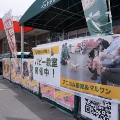 【パピー教室開催報告！】アニコム損保&マルワンコラボイベント！大倉山店編