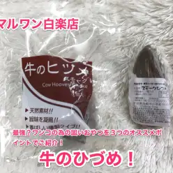 【牛のひづめ】最強？ワンコの為の固いおやつを3つのオススメポイントでご紹介！