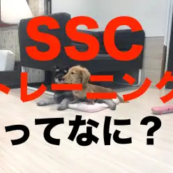 SSCトレーニングってなに？：マルワン今宿店