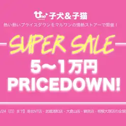 【スーパーセール6店舗追加開催！】港北NT店・武蔵浦和店・大倉山店・鶴見店・相模大塚店・下丸子店！