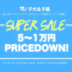 【スーパーセール追加開催！】白楽店・城山店・本羽田店・志村坂下店
