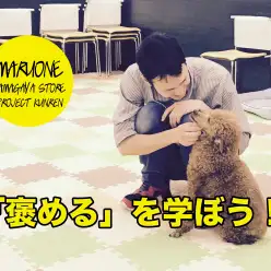 【ワンコのしつけ】効果的なワンちゃんの「褒め方」を学ぼう！：鎌ヶ谷店PROJECT KUNREN Vol.5
