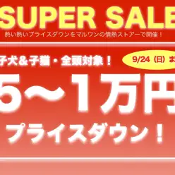 【スーパーセール最終案内！】泣いても笑っても9/24（日）まで！