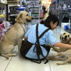 【大倉山店スタッフ募集！】あなたの動物愛をマルワン大倉山店で活かすチャンス！