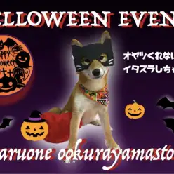 【ハロウィンイベント告知】オヤツをくれなきゃ、イタズラしちゃうぞ♥大倉山店で一緒にハロウィンを楽しもう♪