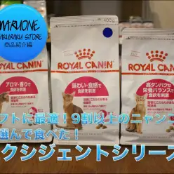 ￼【ギフト商品】9割以上の猫ちゃんがどれかを食べる！？プレゼントにも最適なキャットフード！：白楽店発