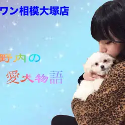 【愛犬物語】相模大塚店スタッフの愛犬物語第3弾！〜木野内＆モカ、ラテ編〜
