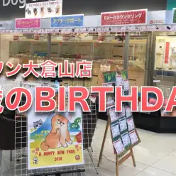 祝!!マルワン大倉山店5歳のお誕生日!!