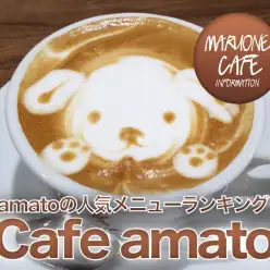 【ドッグカフェ】絶品！amatoの人気メニューランキング！：amato VOL.2