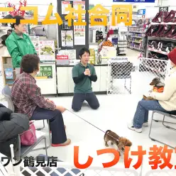 【しつけ教室】マルワン×アニコム合同イベント！鶴見店報告レポート！