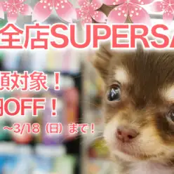 【スーパーセール開催！】新生活応援企画！スーパーセールスタート！