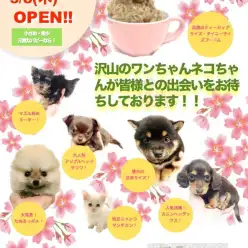 【新店OPEN！】3月8日（木）マルワン高井戸店オープンです！
