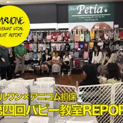 【しつけ教室第4回目開催】マルワン✖︎アニコム合同イベント！：港北NT店開催レポート！