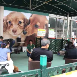 【5/30パピー教室開催報告！】アニコム損保＆マルワンコラボイベント:大倉山店＆白楽店編