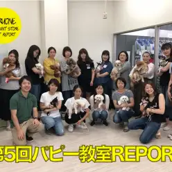 【わんこのしつけ】6/28 アニコム損保 × マルワン港北NT店 コラボ第5回 パピー教室レポート！