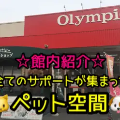 【20周年特別企画・店舗ツアー】すべてのサポートがつまったペット空間マルワン大倉山店の魅力をご紹介!（子犬・子猫・動物病院・ドッグラン・トリミング・ペットホテル）