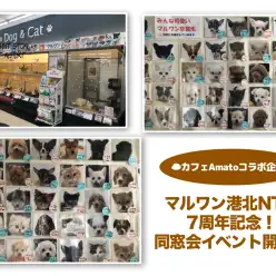 【 イベント情報 】マルワン港北NT店7周年記念！同窓会イベント告知！