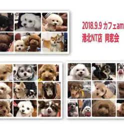 【 イベントレポート 】マルワン港北NT店7周年記念同窓会イベント㏌カフェAmato！