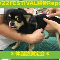 【9.22大倉山店フェスレポート其の2】約半数のワンちゃんが肥満体型?!愛犬の適正体型ってご存知ですか?「体脂肪測定編」