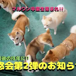 【 2018年大倉山店ラストイベント！】マルワン卒業生集まれ!!平成最後の戌年に同窓会開催のお知らせ!!