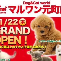 【新店舗OPEN！】横浜新山下にマルワン17番目の店舗「マルワン元町店」が生まれます！