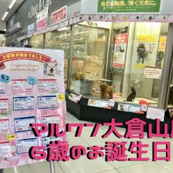 【イベント情報】祝・大倉山店6歳！バースデーイベント開催！