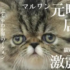 【 エキゾチック 】異次元のイケメン！エキゾチック改め、「イケゾチックのイケ蔵」がやってきた！