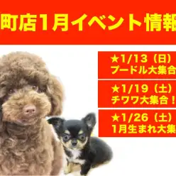 【 イベント情報 】元町店の1月はイベント満載！
