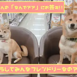 【 大倉山店流育成術 】「なんで??」にお答えするコーナー!!大倉山店の子がフレンドリーな理由を大公開!!