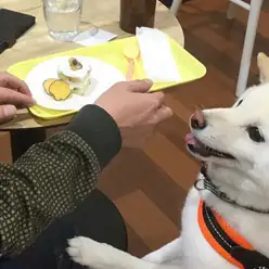 【 カフェ アマート 】プロジェクトADM30始動！