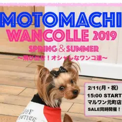 【 元町店イベント情報 】ファッションショー開催！MOTOMACHI WANCOLLE 2019