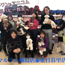【 パピー教室開催レポート 】梅島店＆東日暮里店との第1回アニコム損保協賛合同開催！