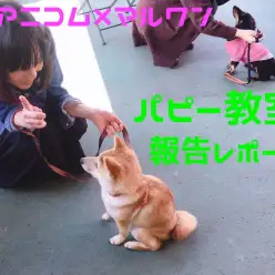【 大倉山店パピー教室 】3月のアニコム×マルワンコラボパピー教室報告レポート!!