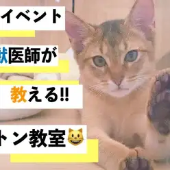 【 大倉山店イベント告知 】初の試み!!獣医師が教えるキトン教室!!