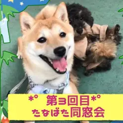 【 大倉山店七夕同窓会 】マルワン卒業生は七夕の夜に大集合!