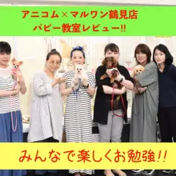 【 7/23パピー教室報告レビュー 】アニコム×鶴見店パピー教室‼