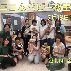 【 港北NT店・イベントレポート 】第11回アニコムしつけ教室開催！