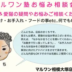 【 マルワン塾相談室 】店長菊池へご相談コーナー！ペットの疑問を解決Vol.1