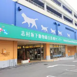 【 動物病院紹介 】志村坂下動物総合医療センターの魅力にせまる！！