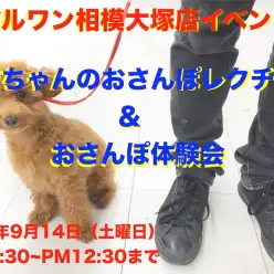 【 相模大塚店イベント 】9/14(土)わんこのおさんぽレクチャー＆おさんぽ体験