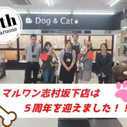 【 志村坂下店5周年 】スーパーセールも開催！一緒に育てるチーム志村坂下！