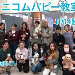【 パピー教室 】第13回アニコムしつけ教室開催！
