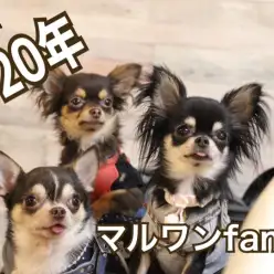 【 イベントレポート 】お客様主催の港北NT店新年会