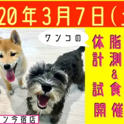 【 今宿店イベント情報 】3/7（土）・脱メタボ！体脂肪計測会！