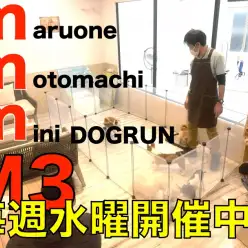 【 元町店イベント 】卒業生参加型！M3ドッグランで一緒に遊ぼう！