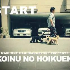 【 子犬のほいくえん 】白楽店特別企画始動！大切な社会化期の特別プラン！