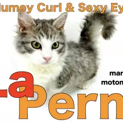 【 ラパーマ 】セカンドレビュー！大変身した男前なゴージャスキャット！