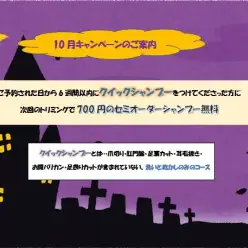 【 城山トリミング 】10月のキャンペーン！クイックシャンプーのご案内
